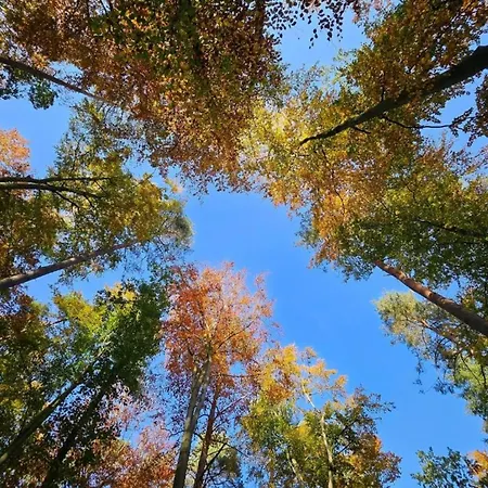 Liebevoll Eingerichtetes Rechlin